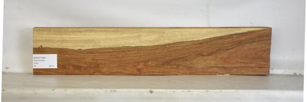 KIAAT1304_2
