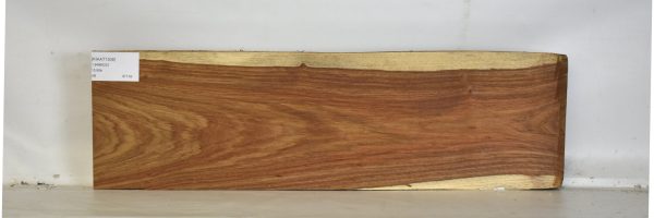 KIAAT1308_2
