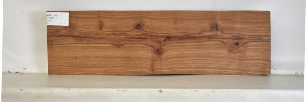 KIAAT1309_2