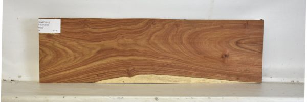 KIAAT1310_2