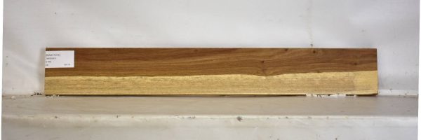 KIAAT1314_1