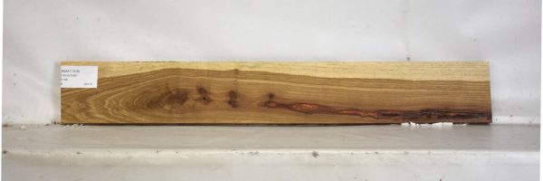 KIAAT1318_2