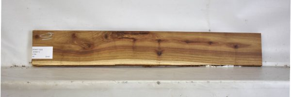 KIAAT1320_2