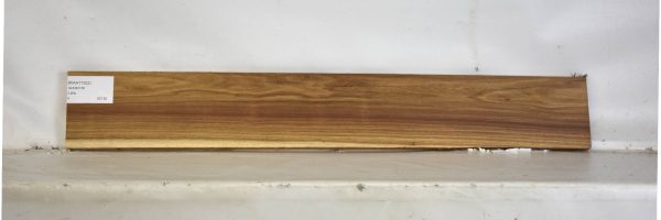 KIAAT1322_2