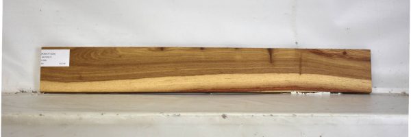 KIAAT1325_1