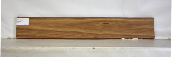 KIAAT1329_1