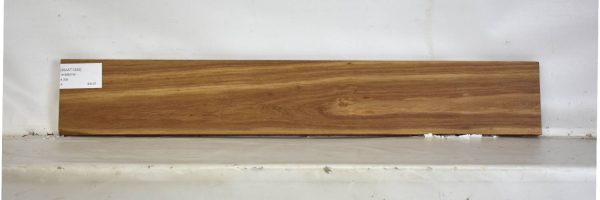 KIAAT1329_2