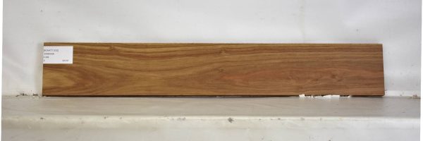 KIAAT1330_1