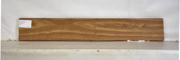 KIAAT1330_2