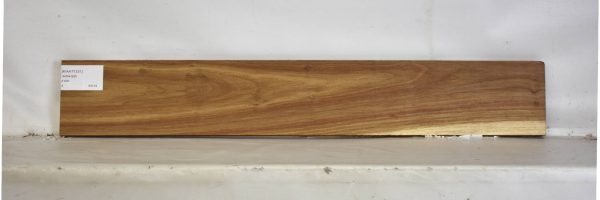 KIAAT1331_2