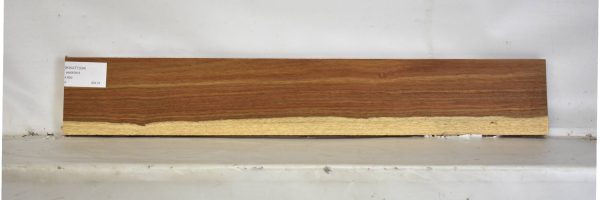 KIAAT1334_1