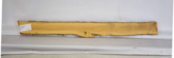 BOX1483_1