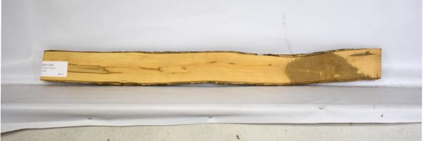BOX1488_1