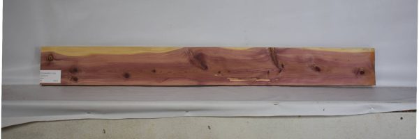 CEDARARO1130_1