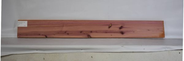 CEDARARO1134_2