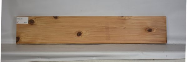 CEDJ1179_2