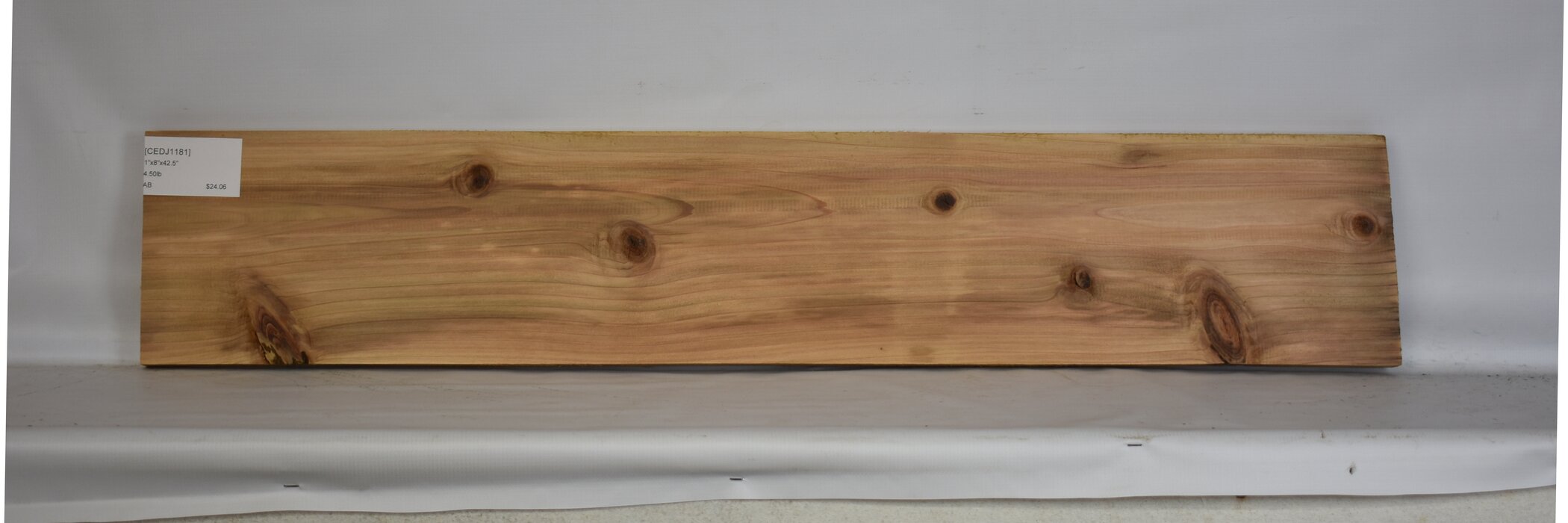 Cedar - Japanese 2 CEDJ1181_2