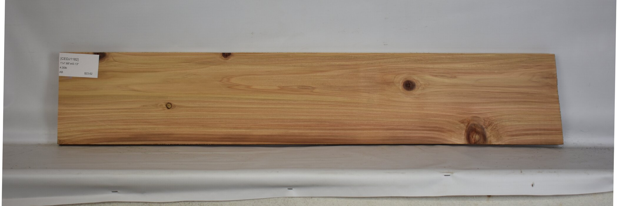 Cedar - Japanese 2 CEDJ1182_2