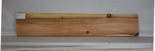 CEDJ1187_2