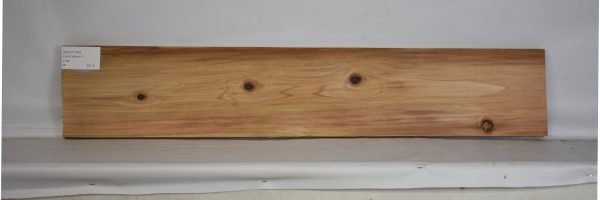 CEDJ1193_2