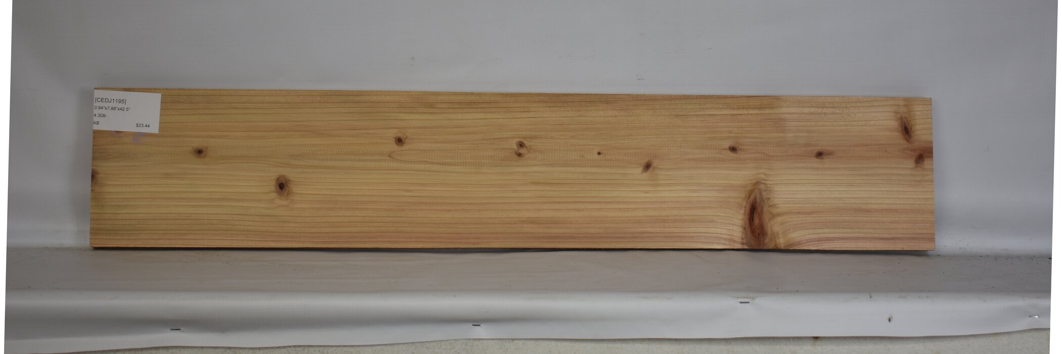 Cedar - Japanese 2 CEDJ1195_2