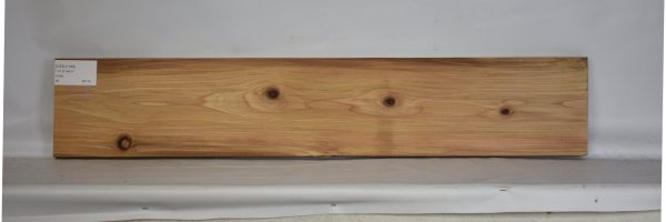 CEDJ1199_2
