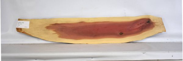 IVRED1109_2