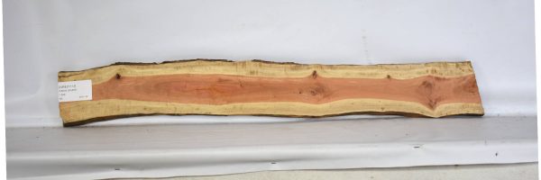 IVRED1113_2