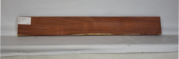 PADAUK1699_2