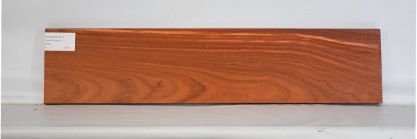 PADAUK1723_1