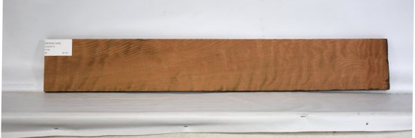REDWC1038_2