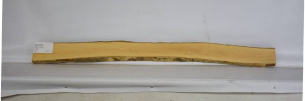 BOX1509_2