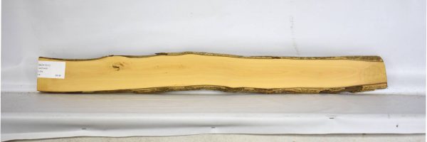 BOX1511_2