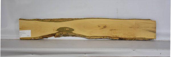 BOX1517_2