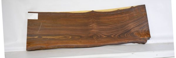 COCO1457_1