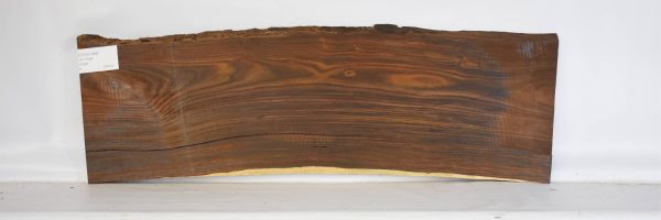 COCO1459_2