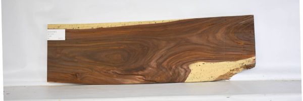 COCO1461_2