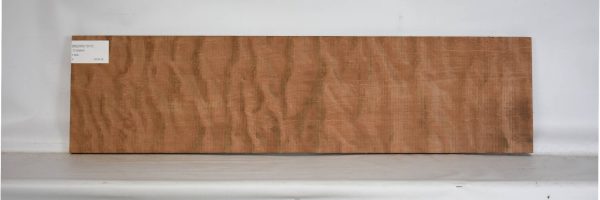 REDWC1077_2