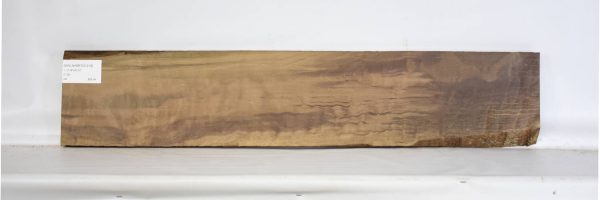 WALNAMFIG1219_2
