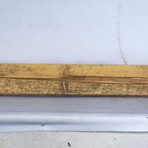 BASS1169_1