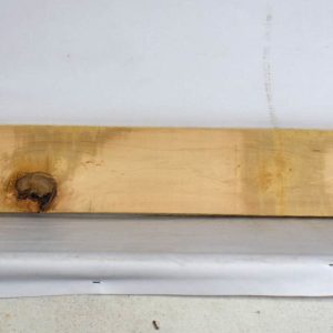 BASS1172_1