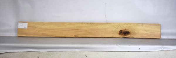 BASS1178_2