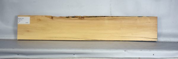 BASS1181_2