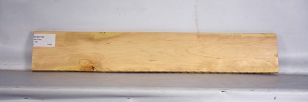BASS1190_2