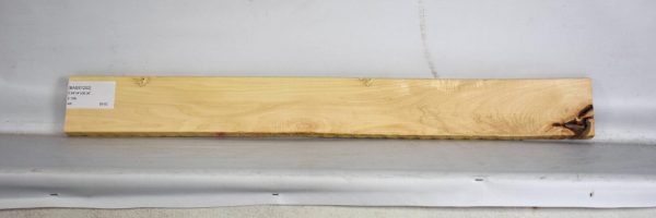 BASS1202_2