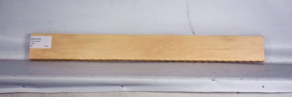 BASS1203_2