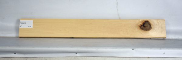 BASS1206_2