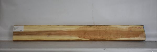 BWAC1234_2
