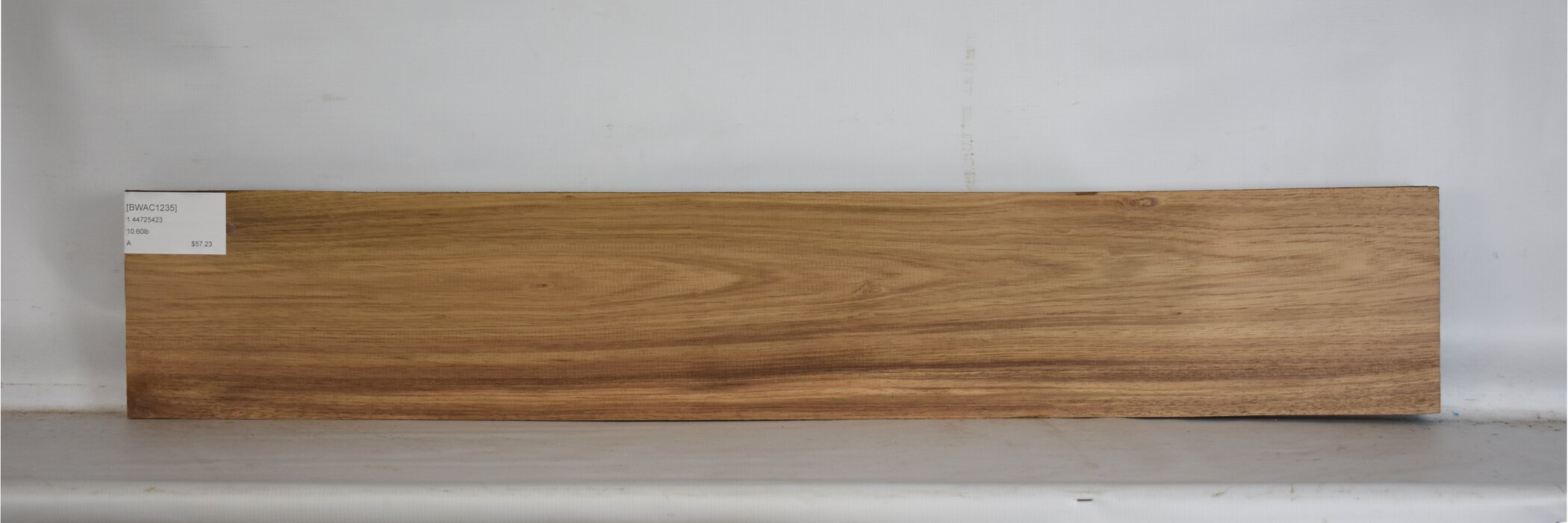 Blackwood - Acacia 2 BWAC1235_2