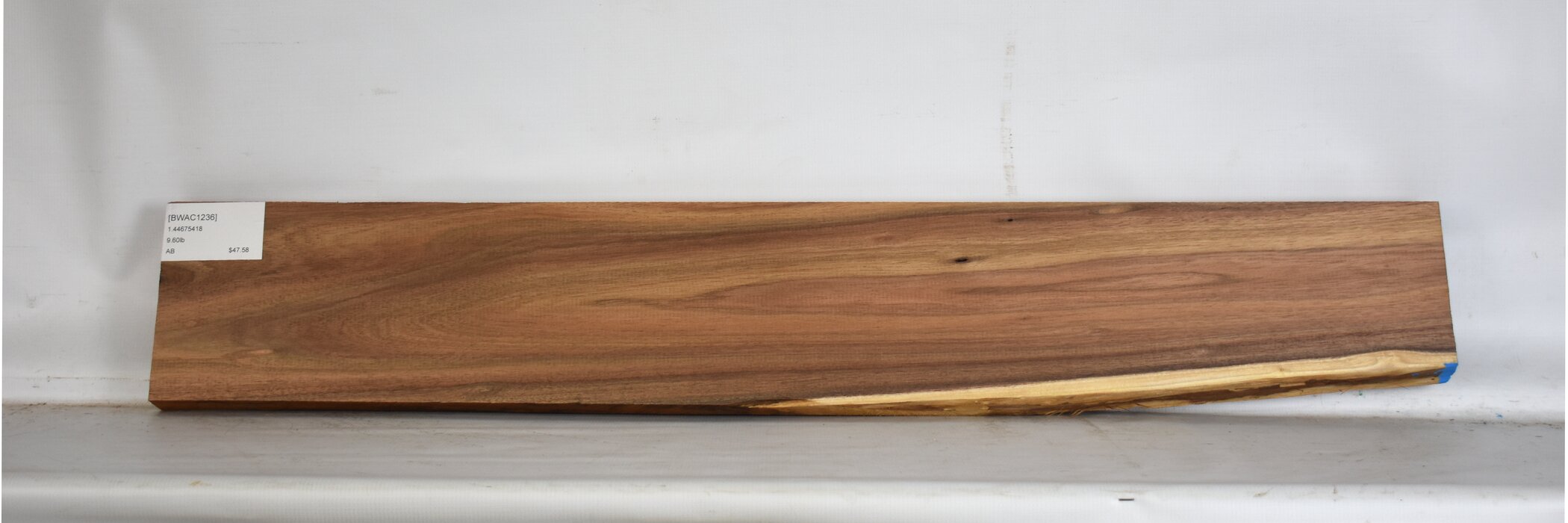 Blackwood - Acacia 2 BWAC1236_2